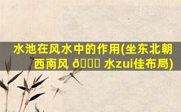 水池在风水中的作用(坐东北朝西南风 🐘 水zui
佳布局)